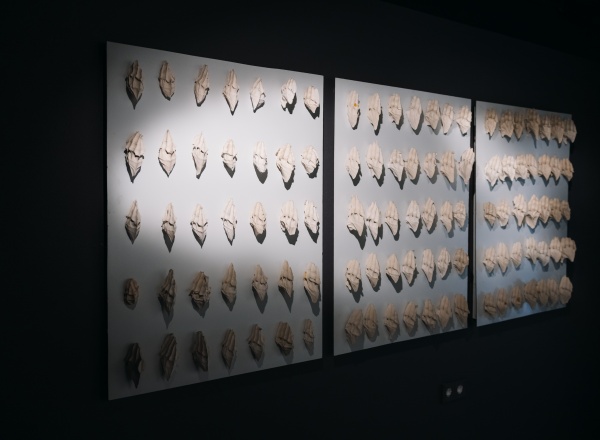 Выставочный проект «Все напоказ?»