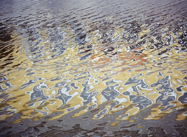 Выставка «Принцип дополнительности» Выставка «Принцип дополнительности»