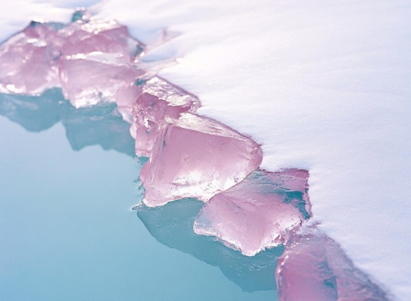 Выставка «Есть живые, есть мёртвые, а есть те, что идут в море»