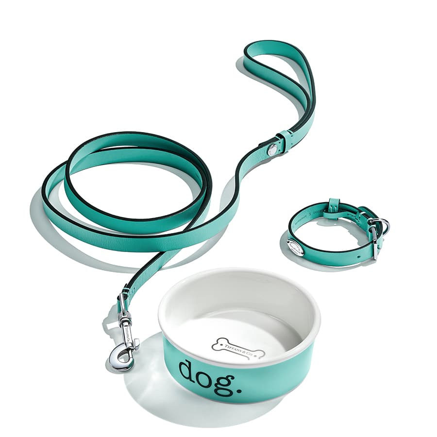 Небольшой ошейник и поводок