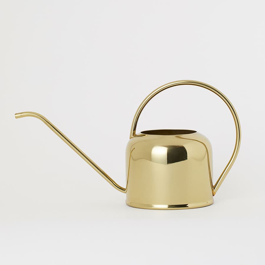 Металлическая лейка