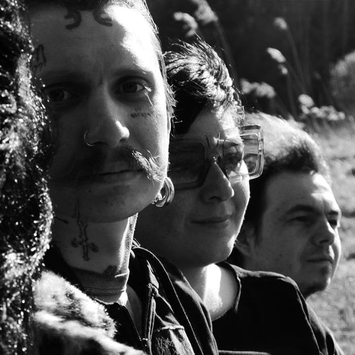 Арт-группа «Хвойные»