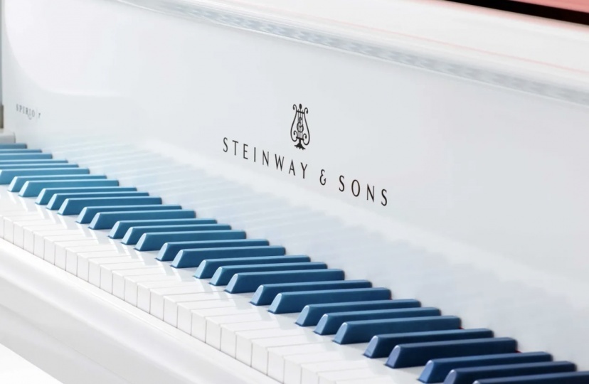 Елена Сальмистраро переосмыслила рояль Steinway & Sons в стилистике Disney