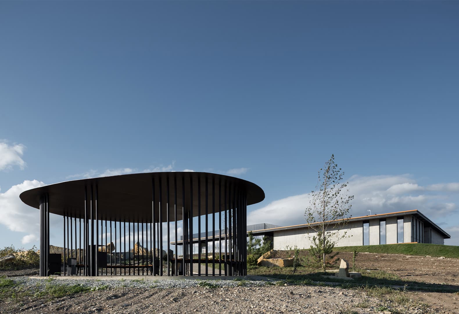 Виноградники Гай-Кодзора. Фото: Илья Иванов