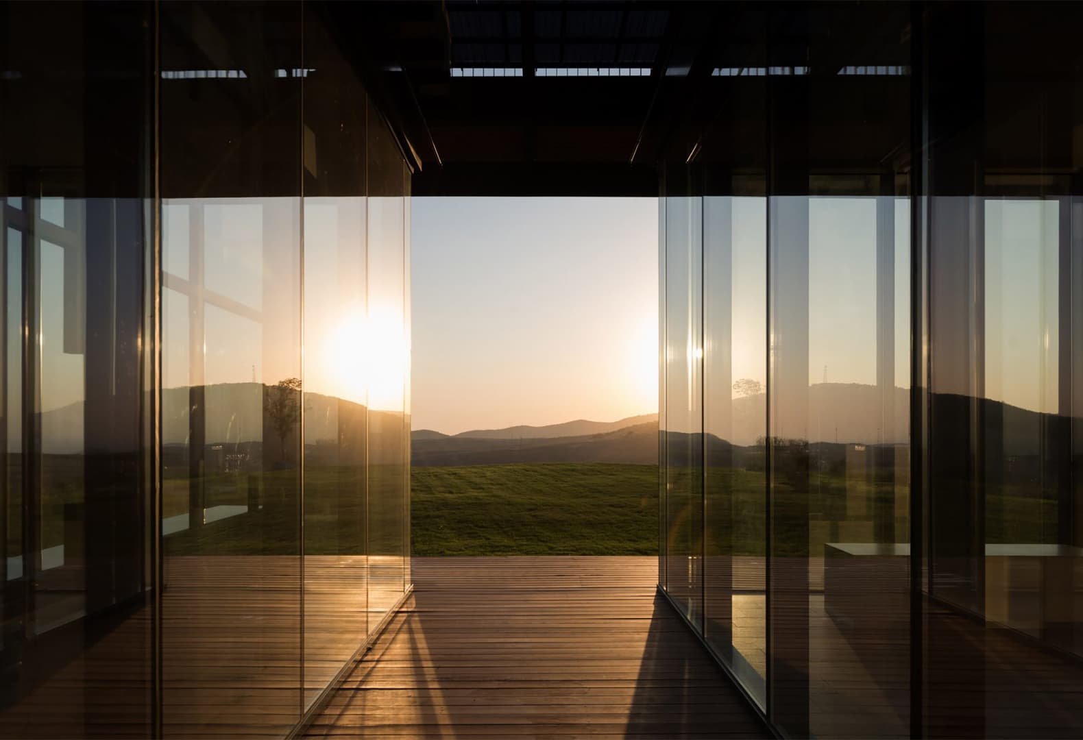 Виноградники Гай-Кодзора. Фото: Илья Иванов