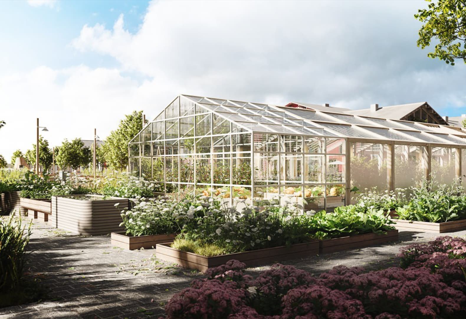 Проект благоустройства пансионата «Измалково», бюро Basis