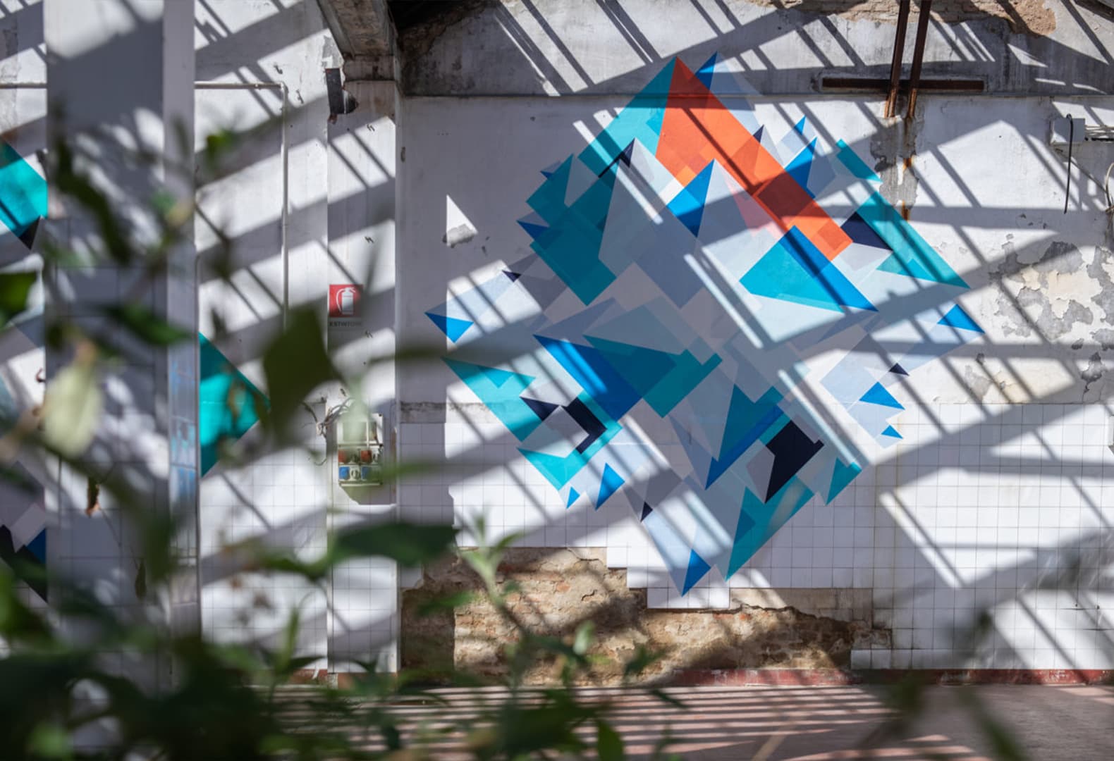 Color Appreciation. Фото: Ooki Jingu