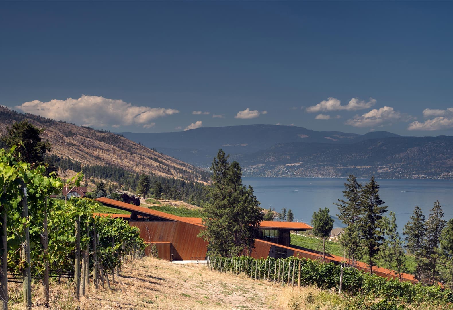 Martin's Lane Winery, долина Оканаган, Канада, Olson Kundig Architects. Фото: Nic Lehoux