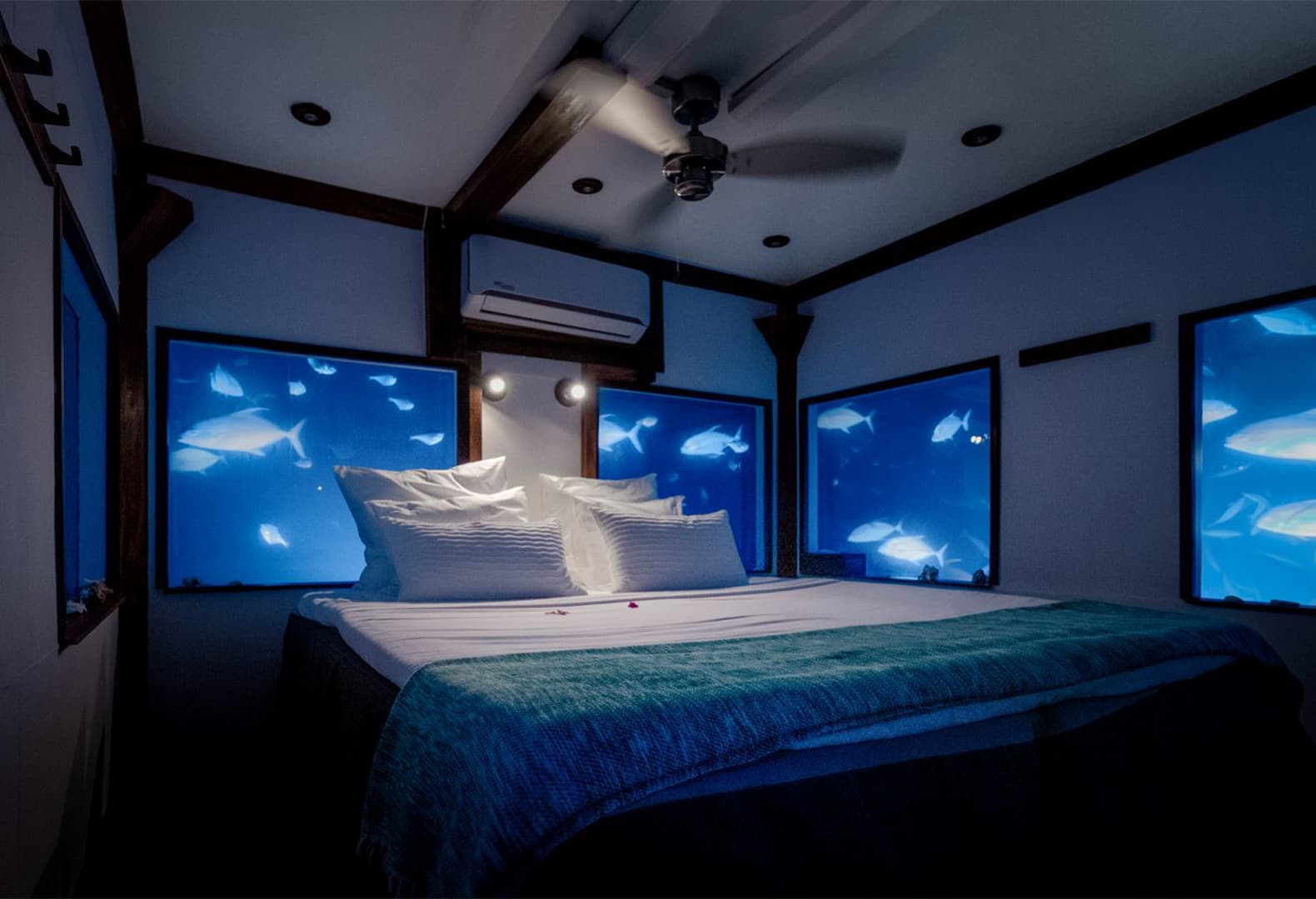 The Manta Resort, остров Пемба, Танзания. Фото: The Manta Resort