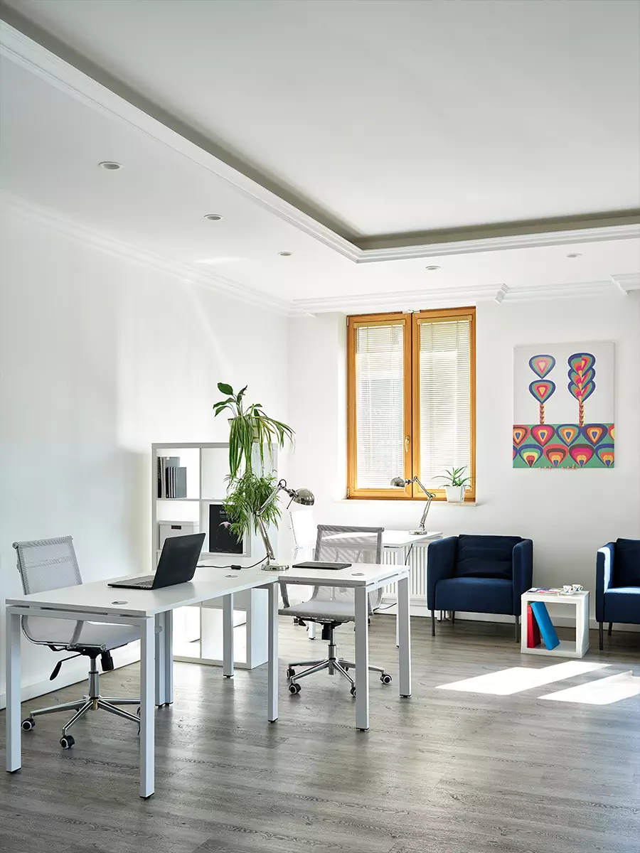 Фирменные цвета и паттерны в креативном интерьере офиса команды хореографического фестиваля — проект Екатерины Владимировой