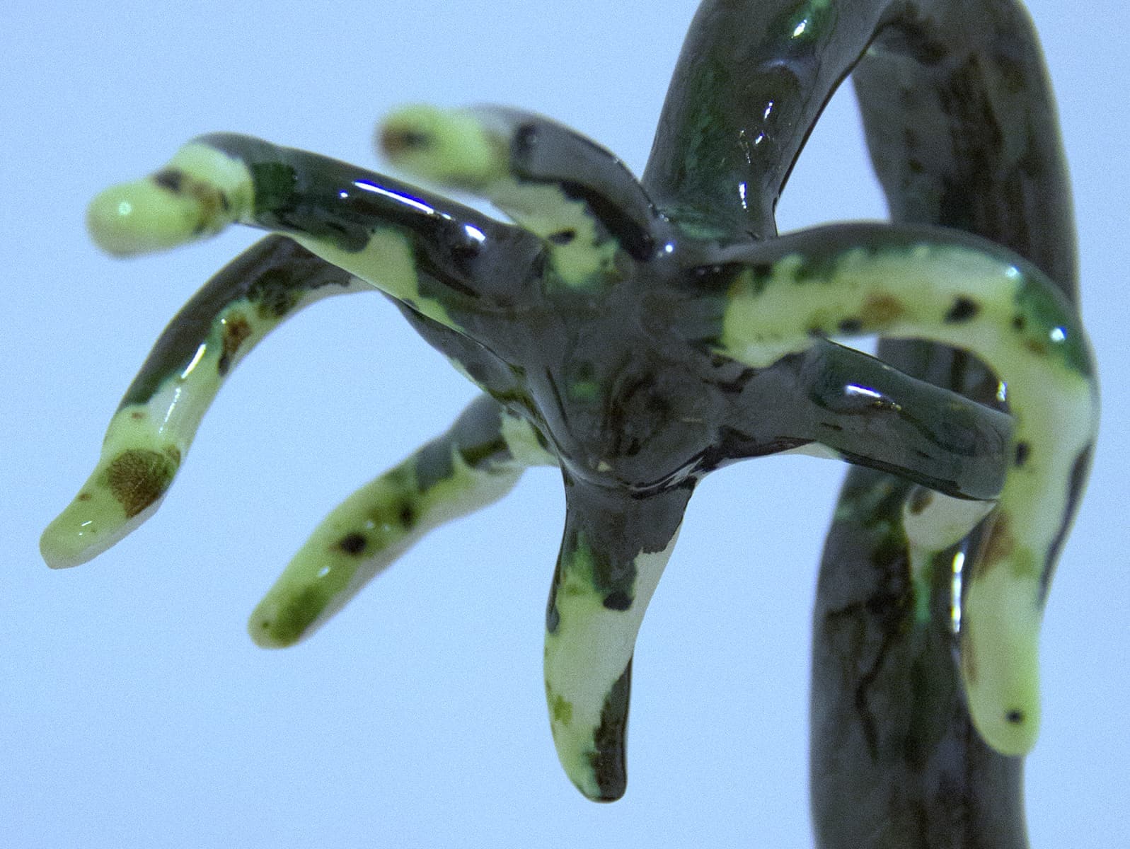 Полина Полнимер