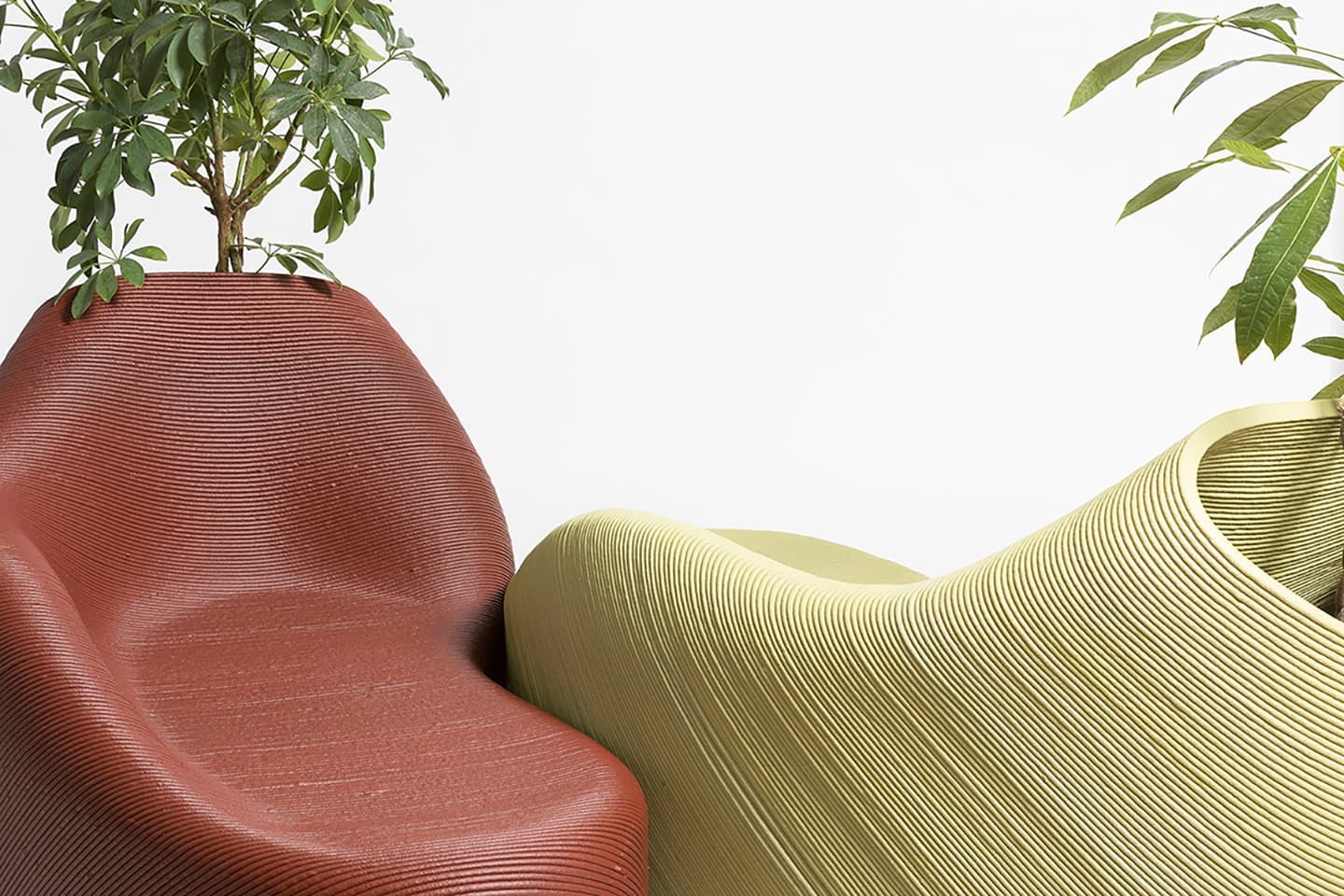 Полина Полнимер