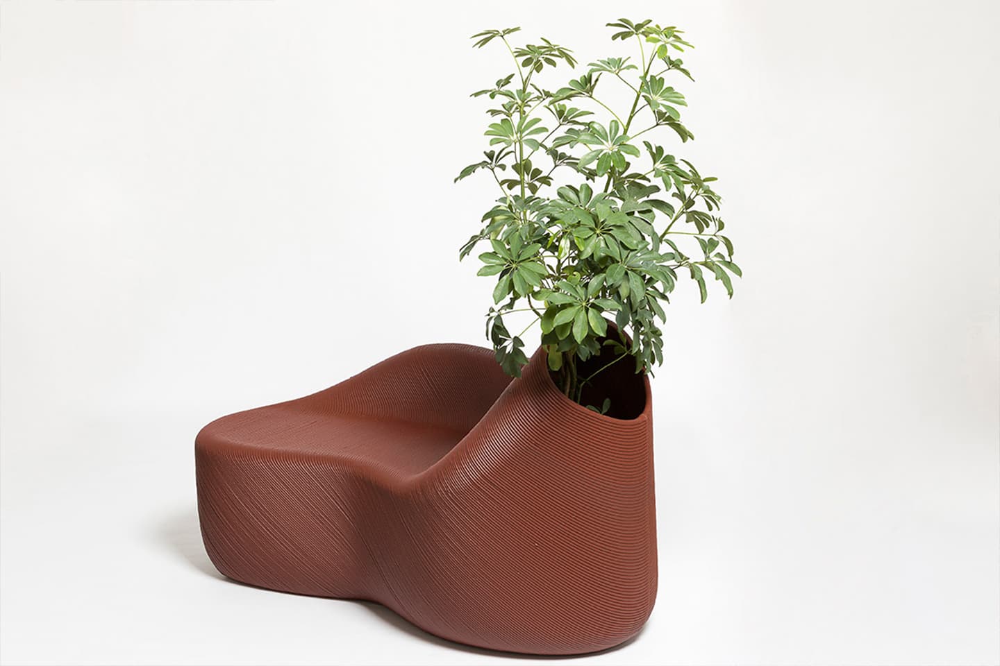 Полина Полнимер