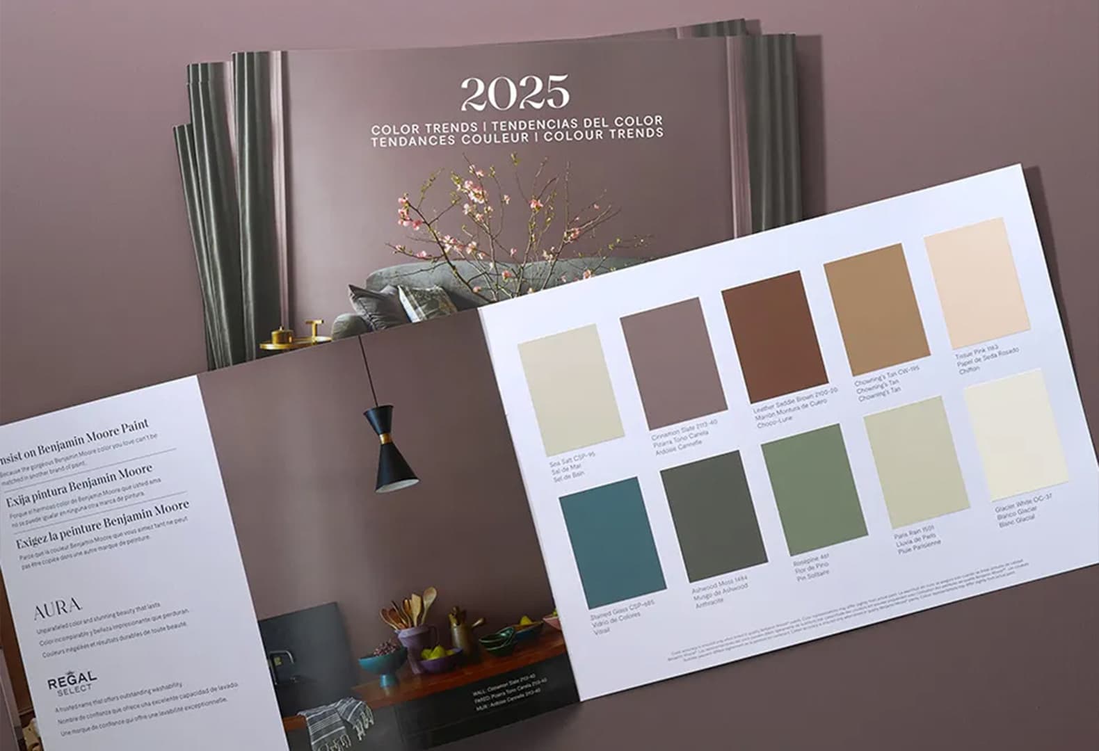 Cinnamon Slate Benjamin Moore