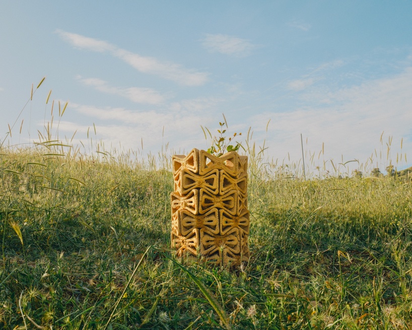 TreeSoil: укрытие, обеспечивающее рост молодых деревьев