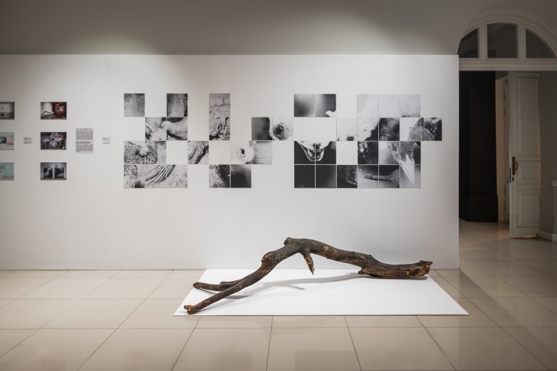 В Красноярске подвели итоги премии SCAN AWARDS