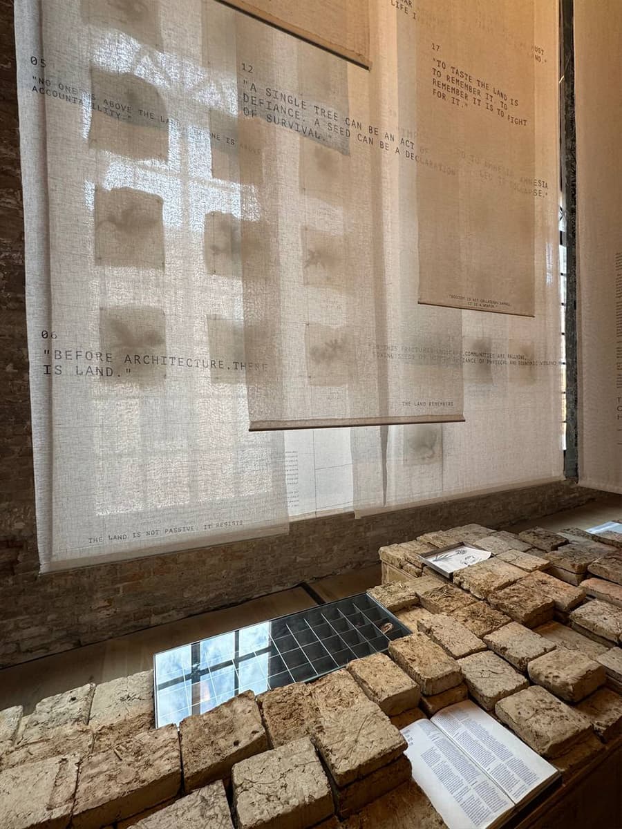 Чем запомнилась Венецианская архитектурная биеннале 2025: дневники Анны Сысоевой