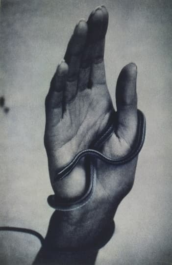 Галерея Люмьер отметит 25-летие масштабными выставочными проектами