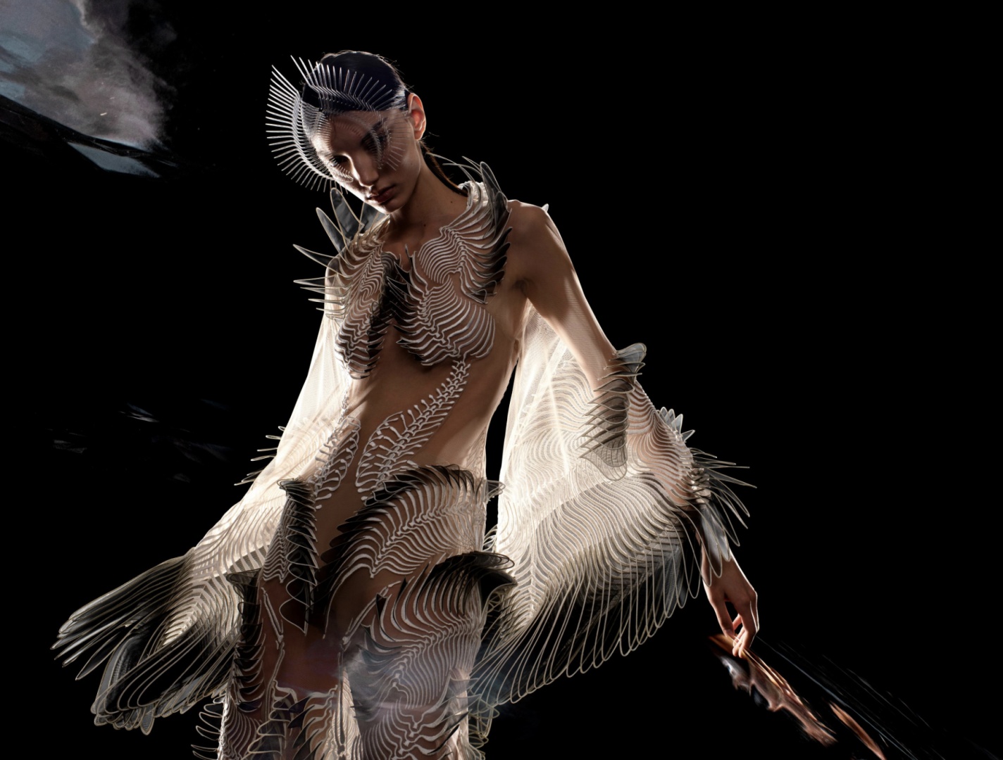 Бруклинский музей покажет более 140 работ Ирис ван Херпен Бруклинский музей покажет более 140 работ Ирис ван Херпен