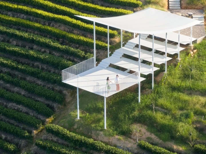 Studio RE+N построила смотровую площадку с видом на чайную долину