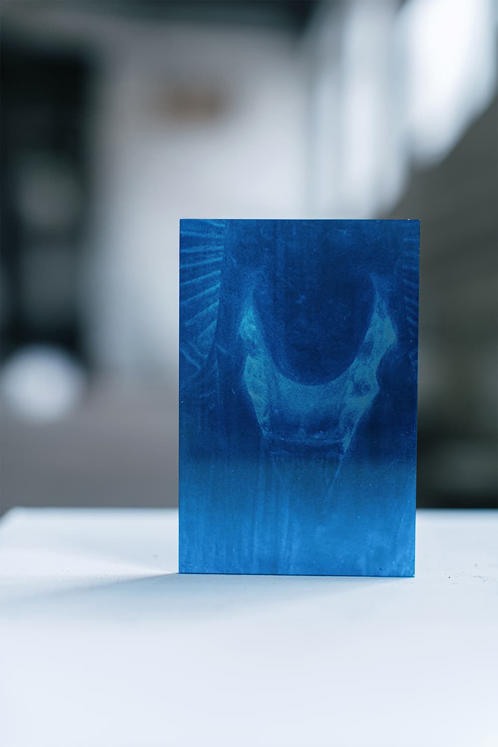 Лена Скрипкина