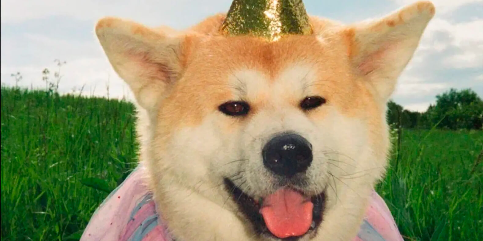 Самое интересное из мира дизайна и искусства: с 31 августа по 6 сентября 2026