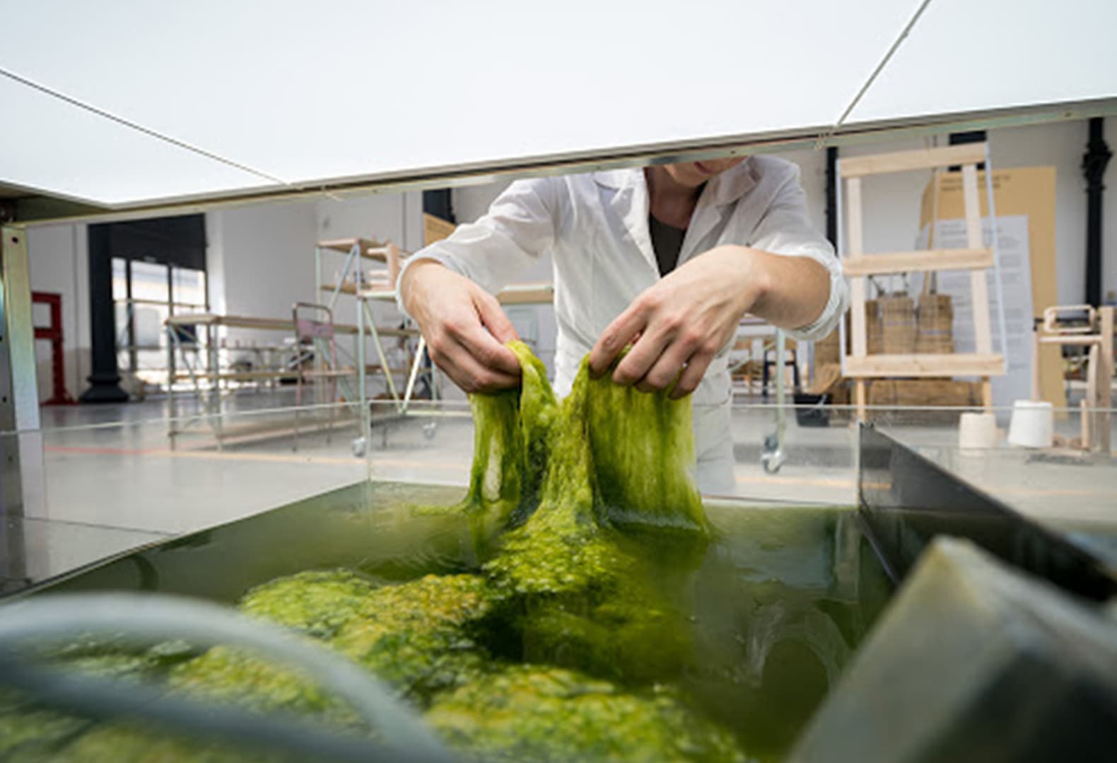 Studio Klarenbeek & Dros и Atelier Luma с проектом Algae Lab LUMA