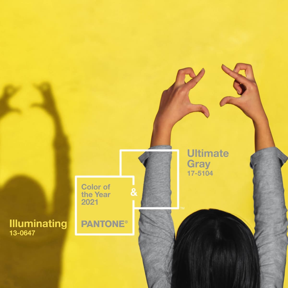 Ultimate Gray и Illuminating PANTONE