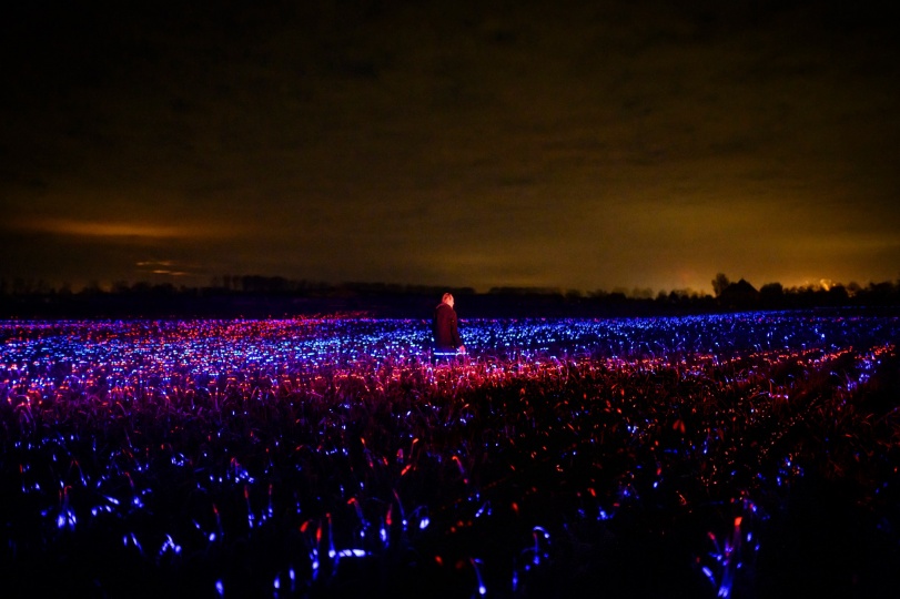 Studio Roosegaarde осветили сельское хозяйство в Голландии