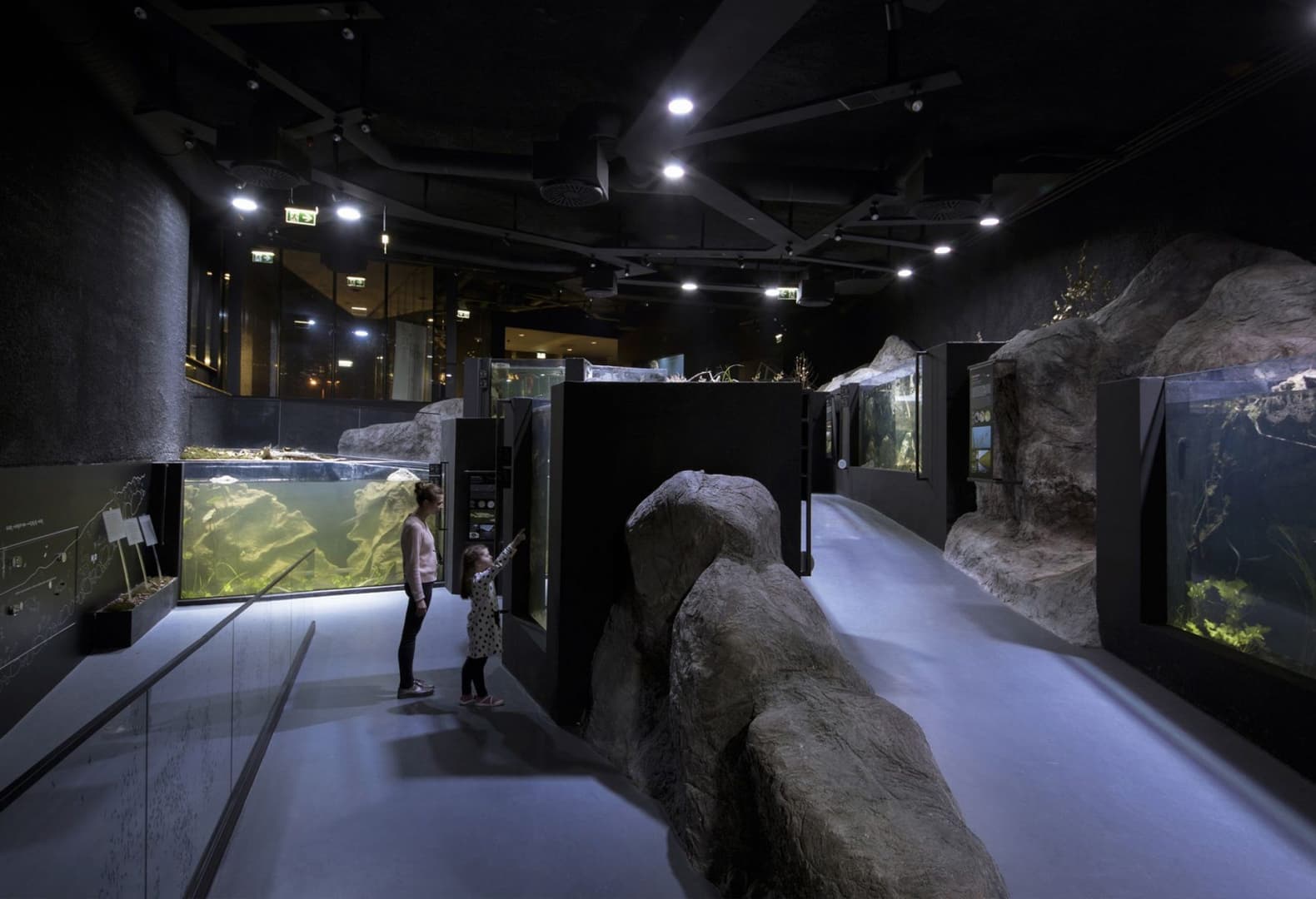 Пресноводный аквариум и музей реки в Карловаце. Фото: Jure Zivkovic