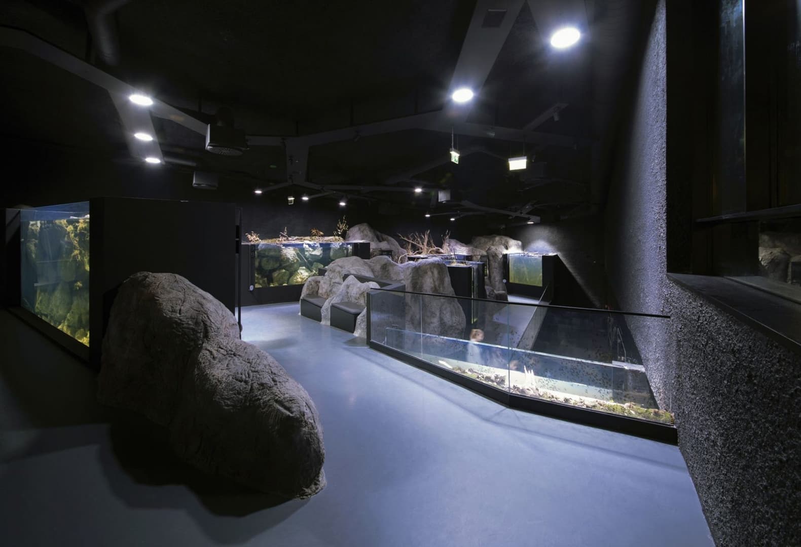 Пресноводный аквариум и музей реки в Карловаце. Фото: Jure Zivkovic