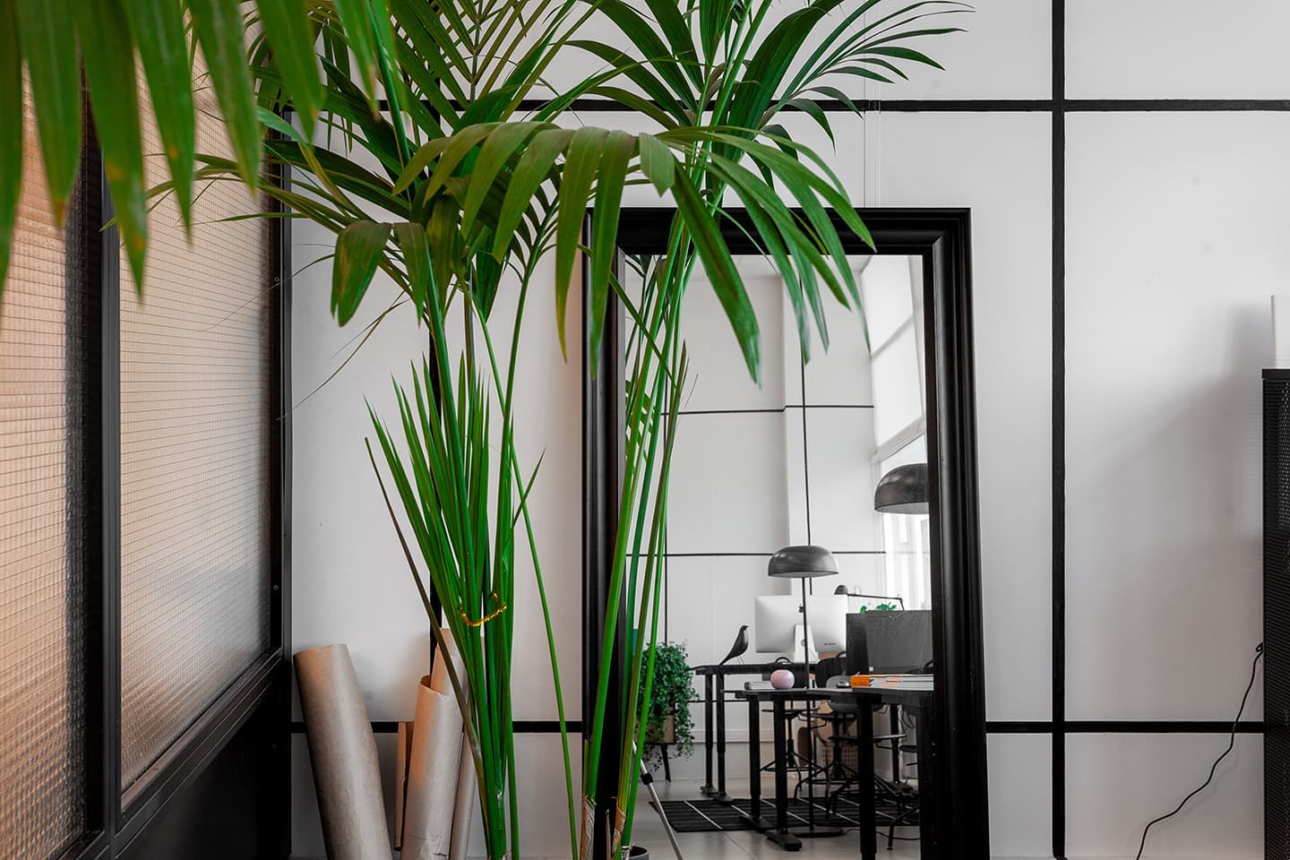 Цех и офис для московского бренда одежды — проект Room Design Buro