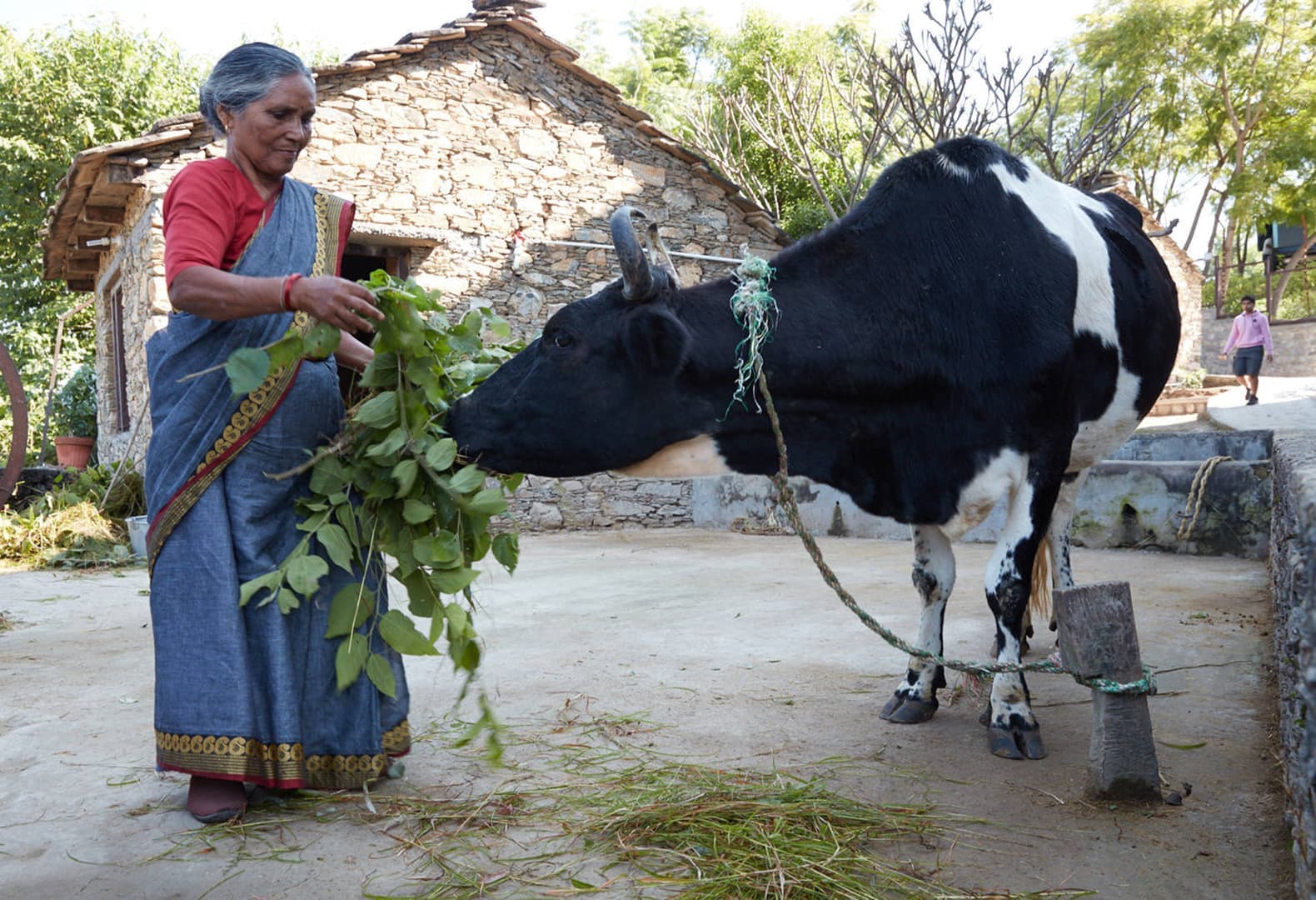 Новый объект для коммьюнити индийской деревни Лодси и компании Forest Essentials. Фото: Morphogenesis