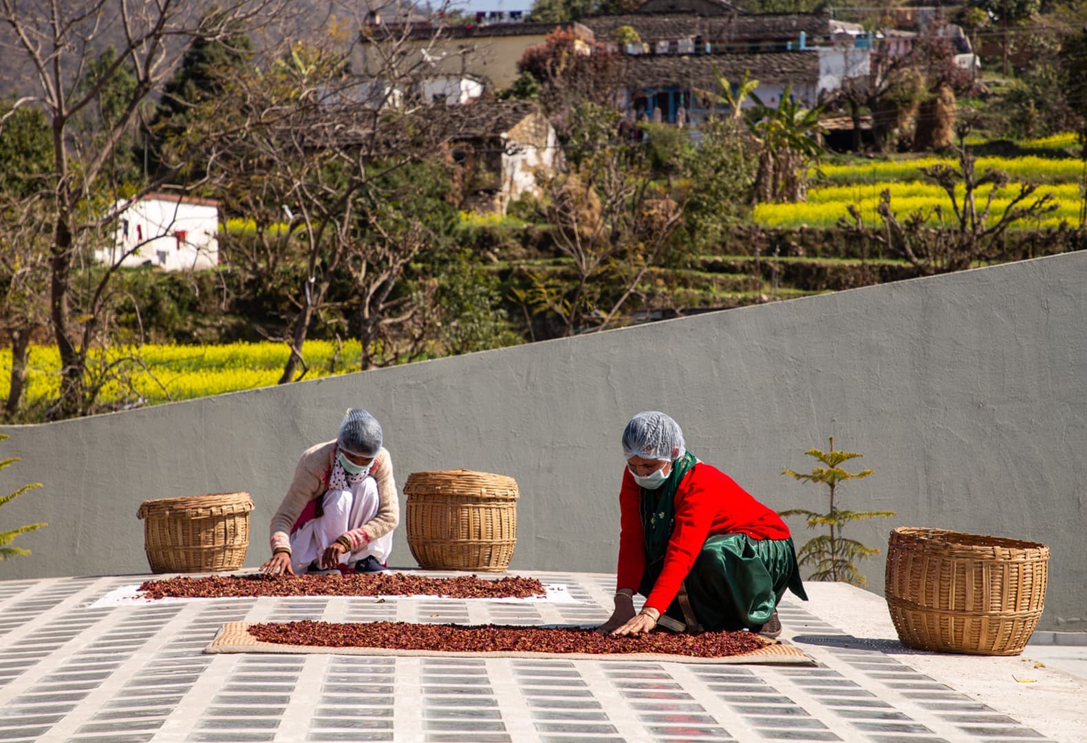 Новый объект для коммьюнити индийской деревни Лодси и компании Forest Essentials. Фото: Noughts And Crosses