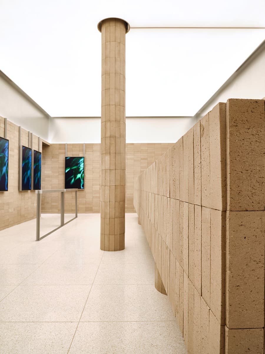 Высокотехнологичный диспансер каннабиса – проект Studio Paolo Ferrari