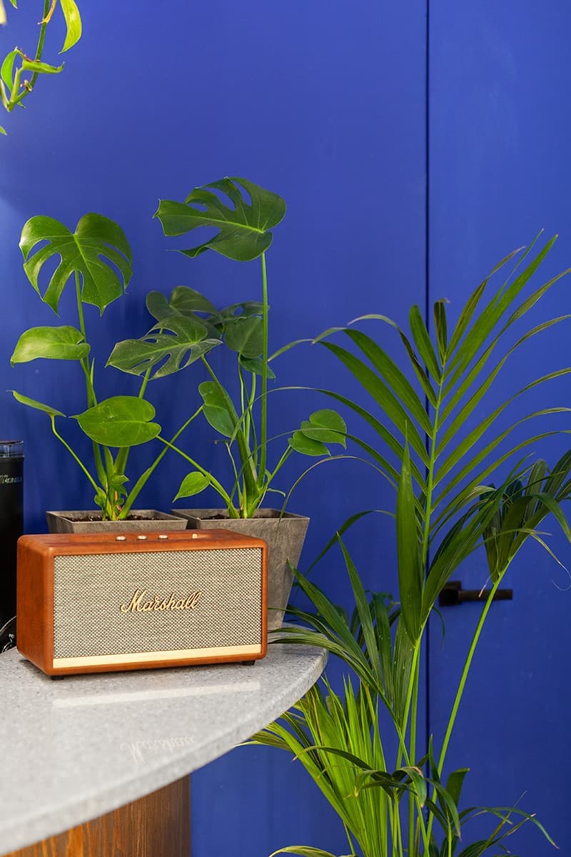 Кафе в историческом павильоне – проект дизайнера Павла Неснова