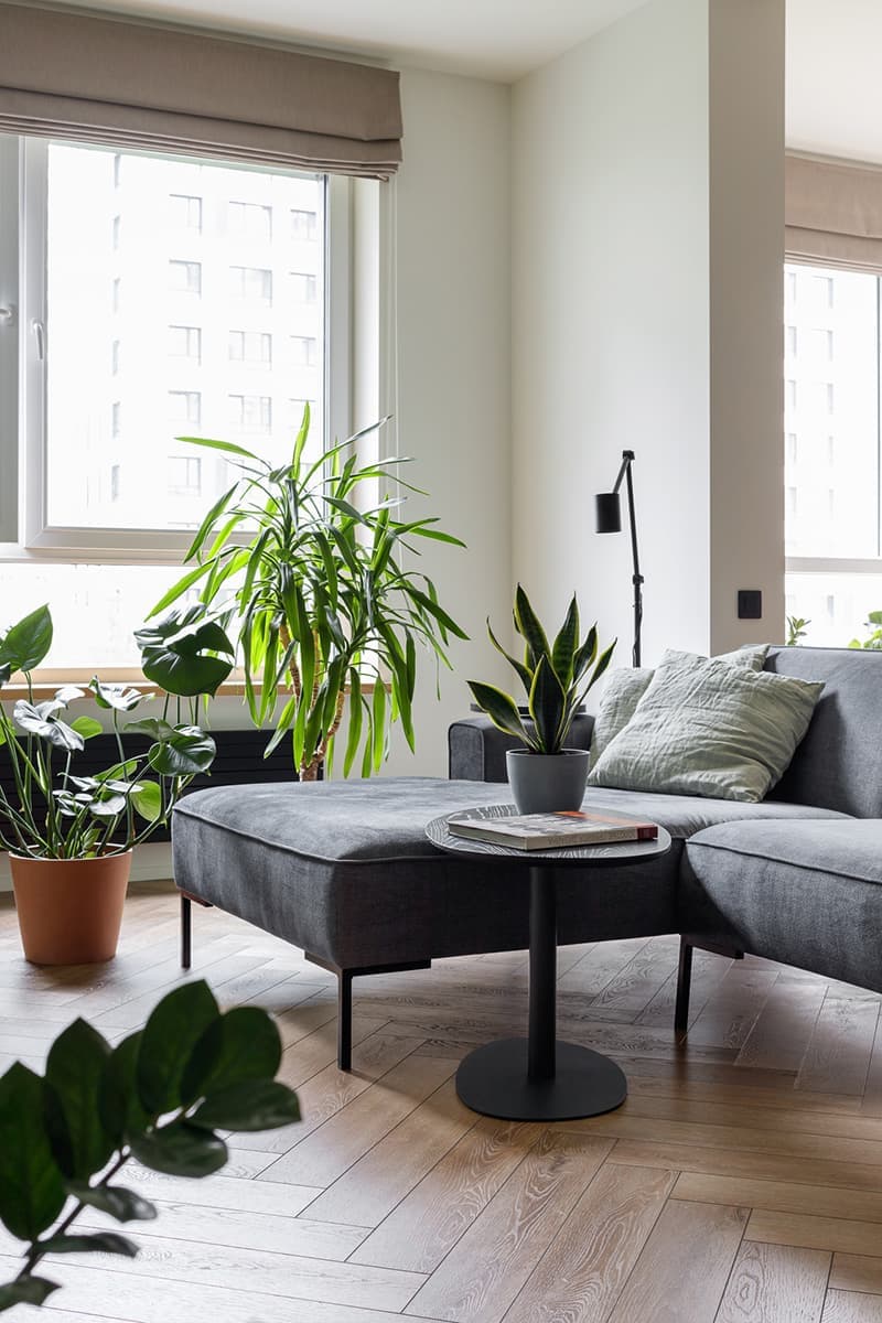 Скандинавский минимализм и обилие живых растений – проект дизайн-студии Кубквадрат