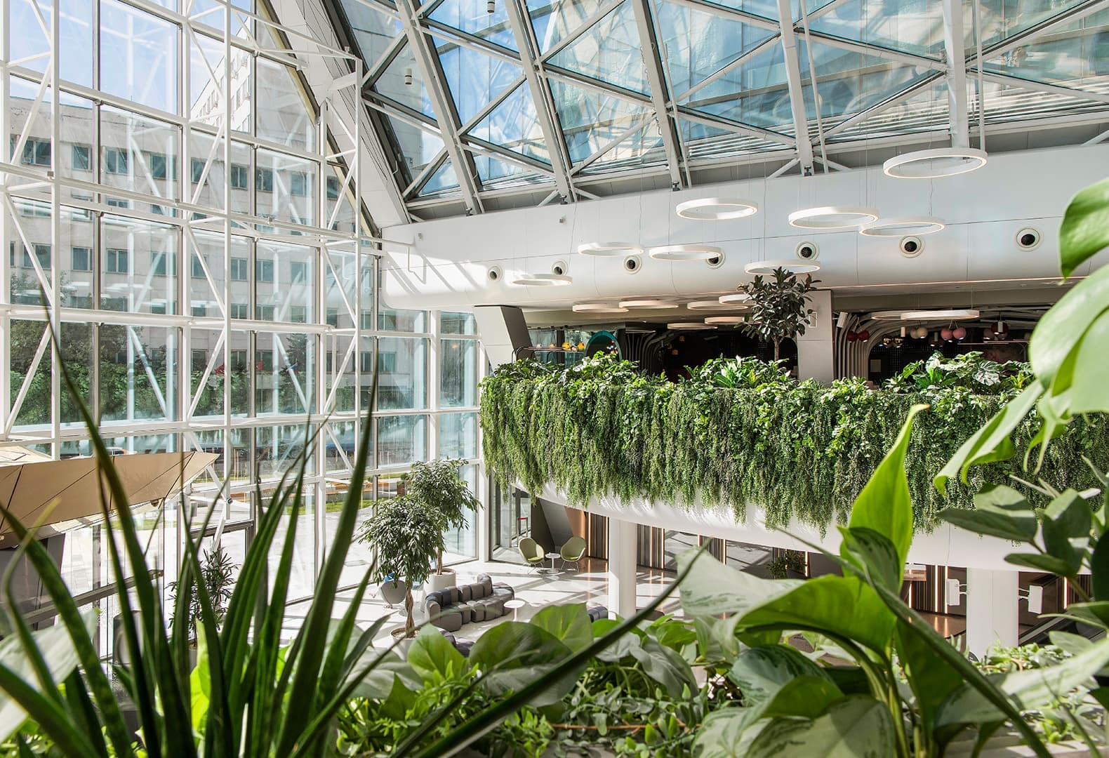 Фото: Peter Wuermli, архитектурное бюро Evolution Design