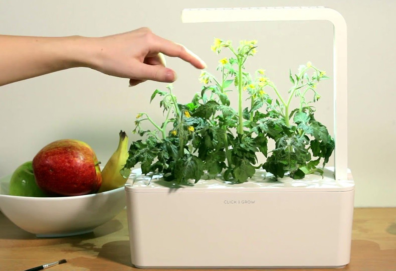 Click & Grow Smart Garden