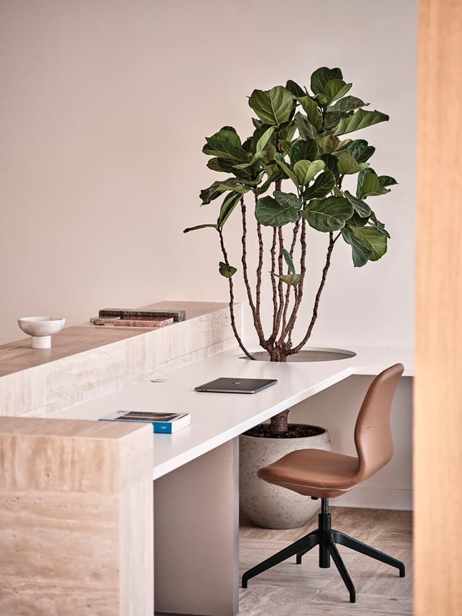 Изобилие натуральных материалов в интерьере современного офиса – проект A+A Studio