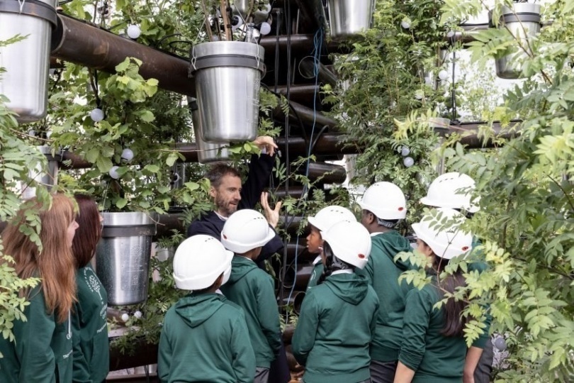 Heatherwick Studio создали инсталляцию из 350 деревьев к юбилею королевы