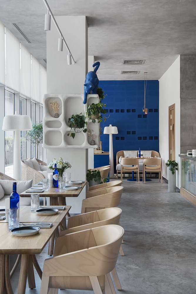 Контрастный интерьер кофейни с ярко-синими акцентами – проект бюро ARCHPOINT