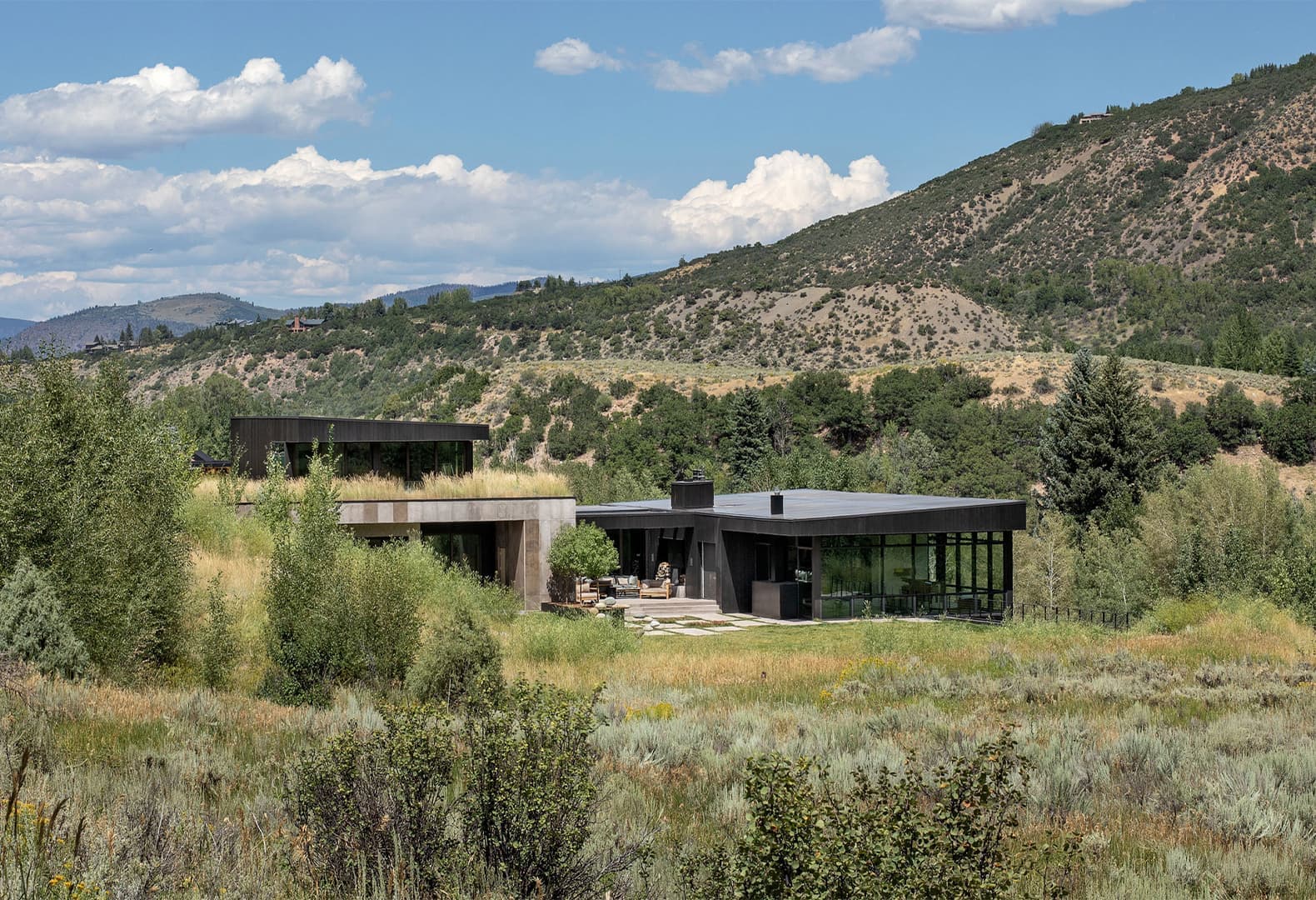 Meadow House, CCY Architects. Фото: Jeremy Bittermann
