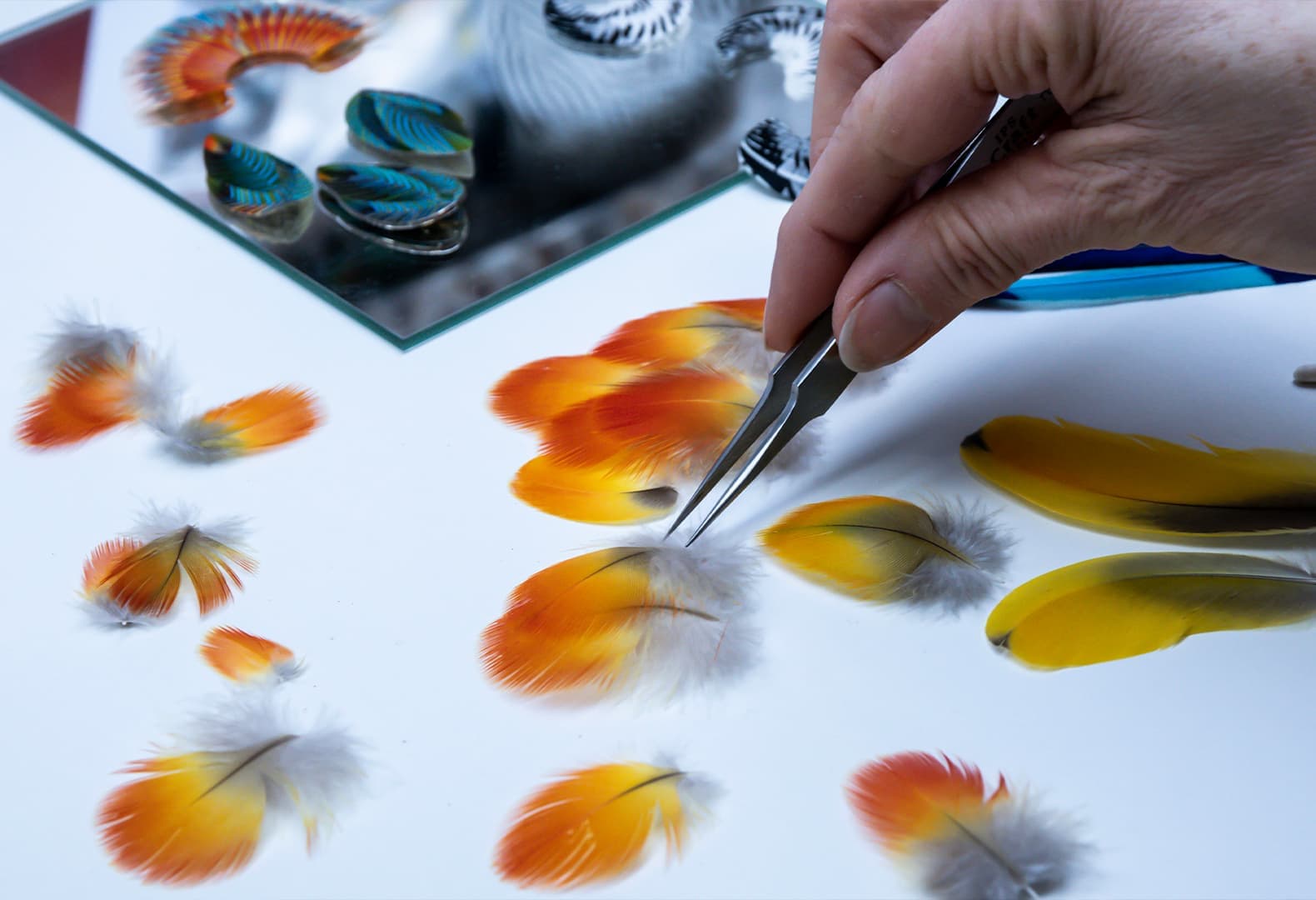 Нелли Сонье (Nelly Saunier)