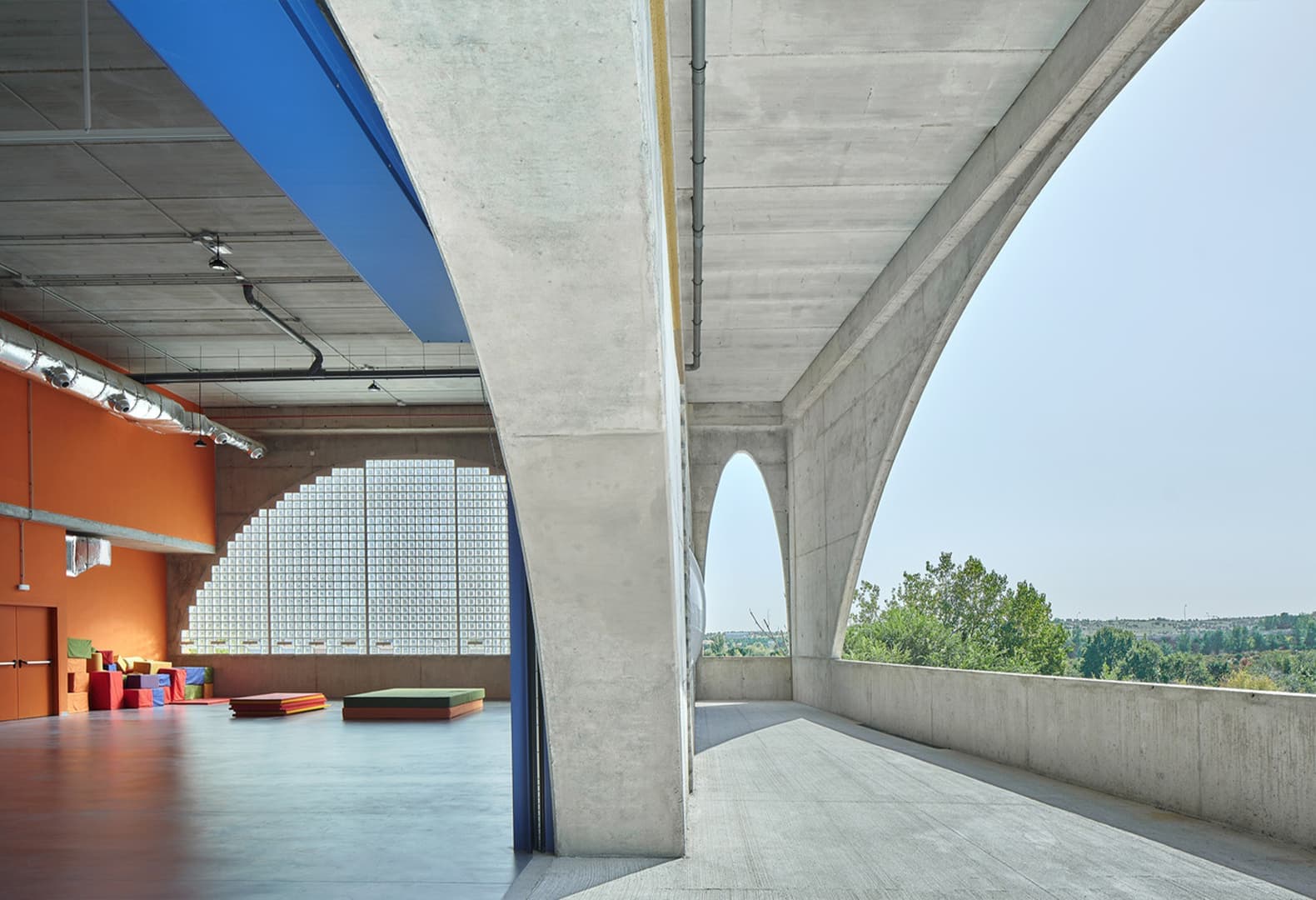 Центральный атриум с садом; прилегающие пространства Reggio School в Мадриде