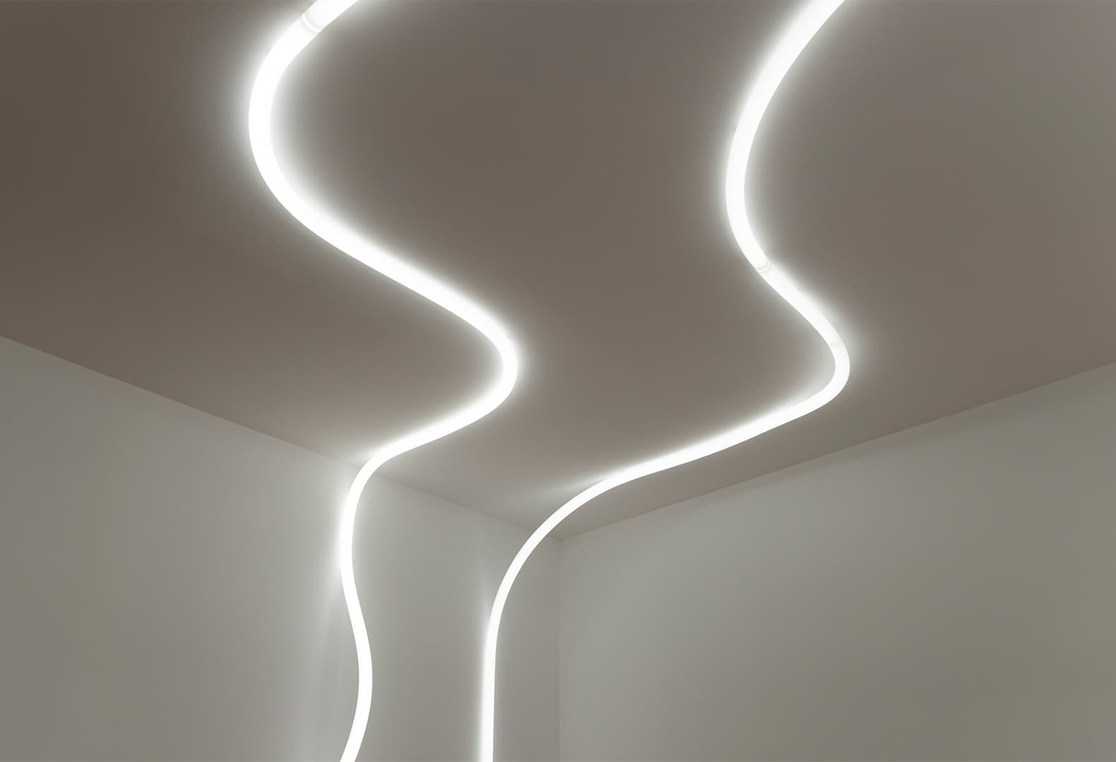 La Linea