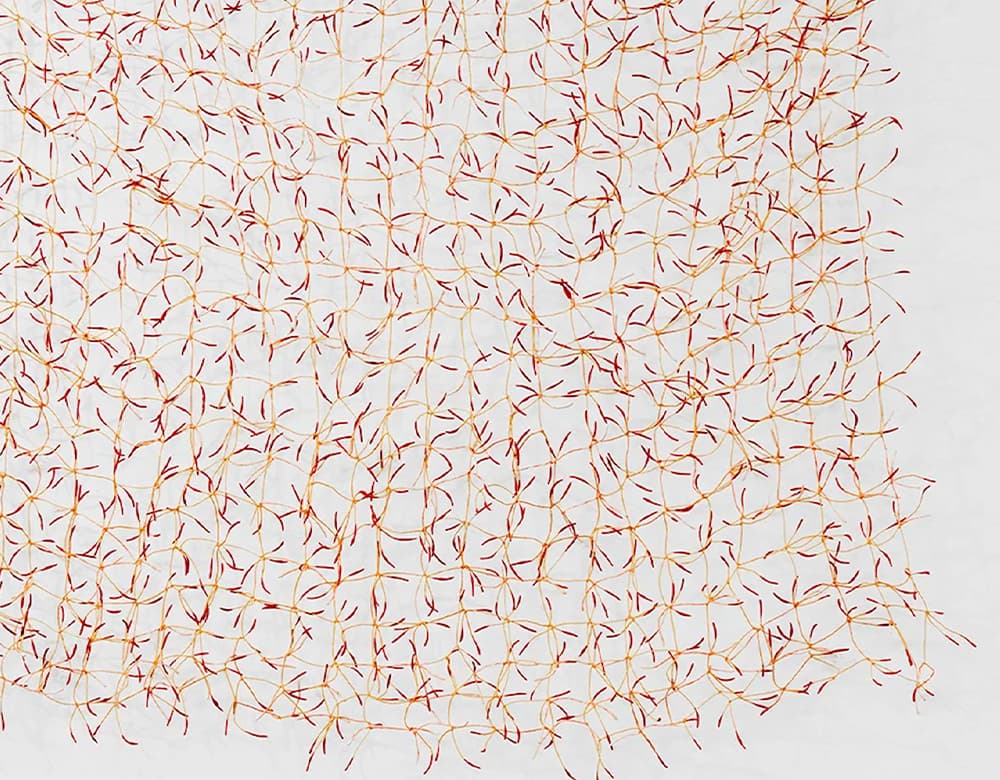 7 финалистов премии LOEWE FOUNDATION Craft Prize 2023: Лус Морено Пинарт